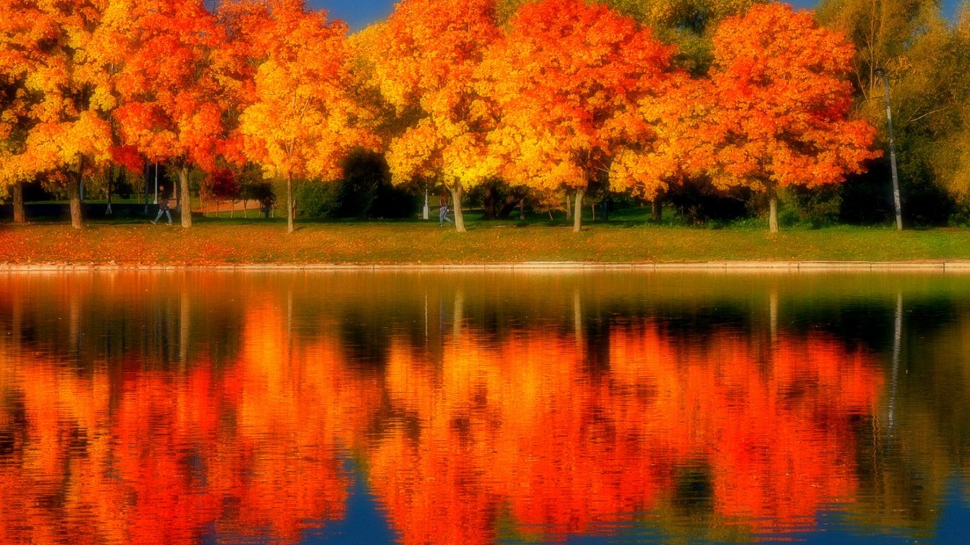 Autumn Fall Colors Gold Nature Reflection Water Trees - Fall Trees Lake , HD Wallpaper & Backgrounds