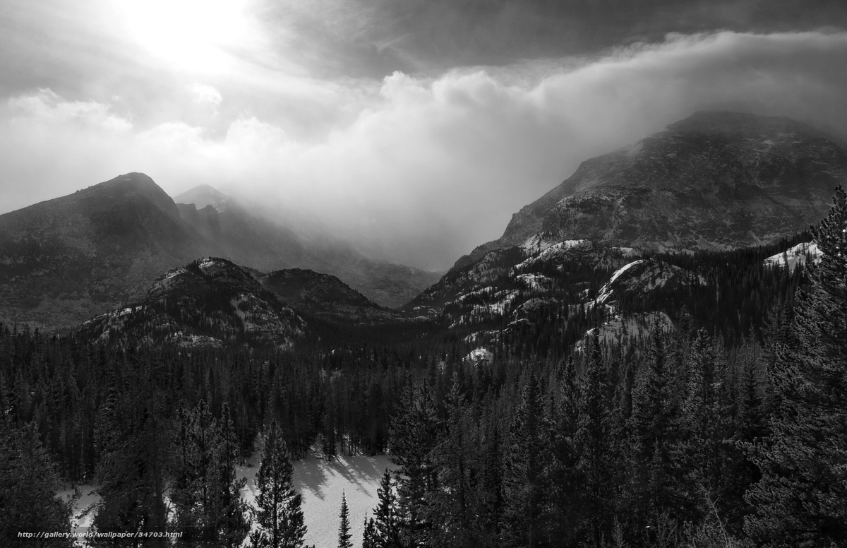 Download Wallpaper Black And White, Mountains, Forest - Mountains Wallpaper Mac Air Hd , HD Wallpaper & Backgrounds