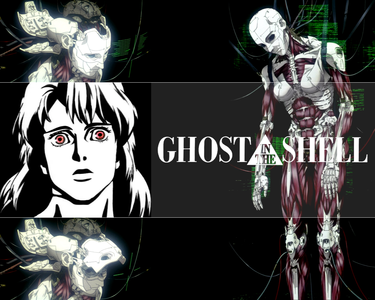 Masamune Shirow, Ghost In The Shell, Motoko Kusanagi - Ghost In The Shell Motoko Cyborg , HD Wallpaper & Backgrounds