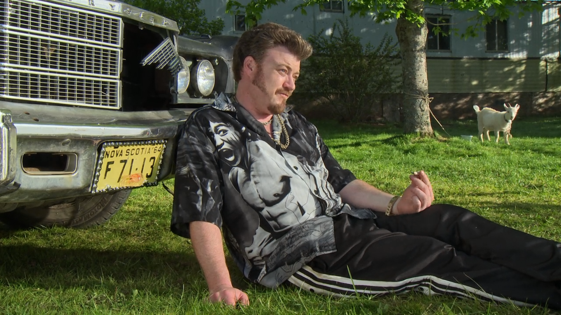 I Thought This Made A Nice Wallpaper - Trailer Park Boys License Plate , HD Wallpaper & Backgrounds