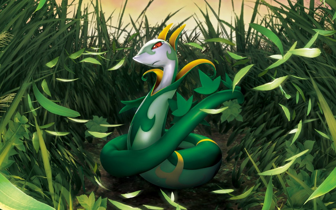 Is This Your First Heart - Serperior Wallpaper Hd , HD Wallpaper & Backgrounds