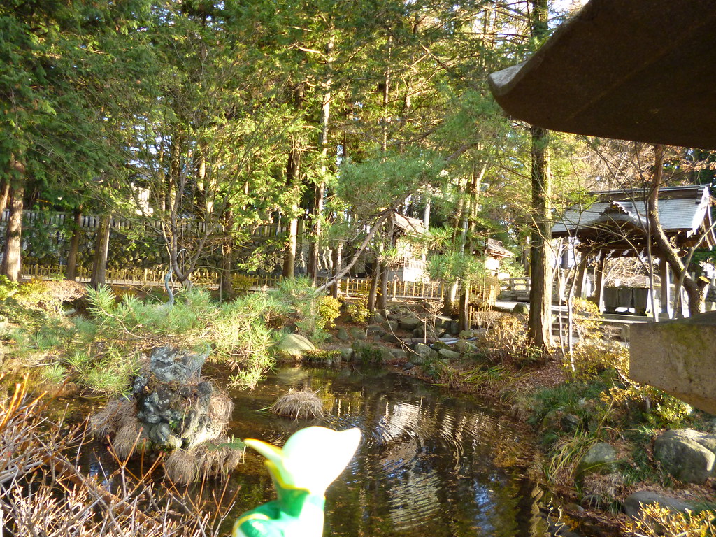 Serperior In Shimosuwa, Nagano 8 (kasadera) Tags - Fish Pond , HD Wallpaper & Backgrounds