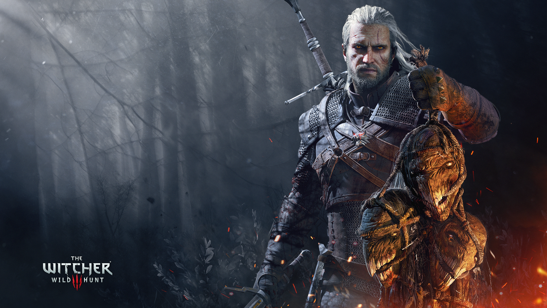 The Witcher - Witcher 3 Wild Hunt Hd , HD Wallpaper & Backgrounds