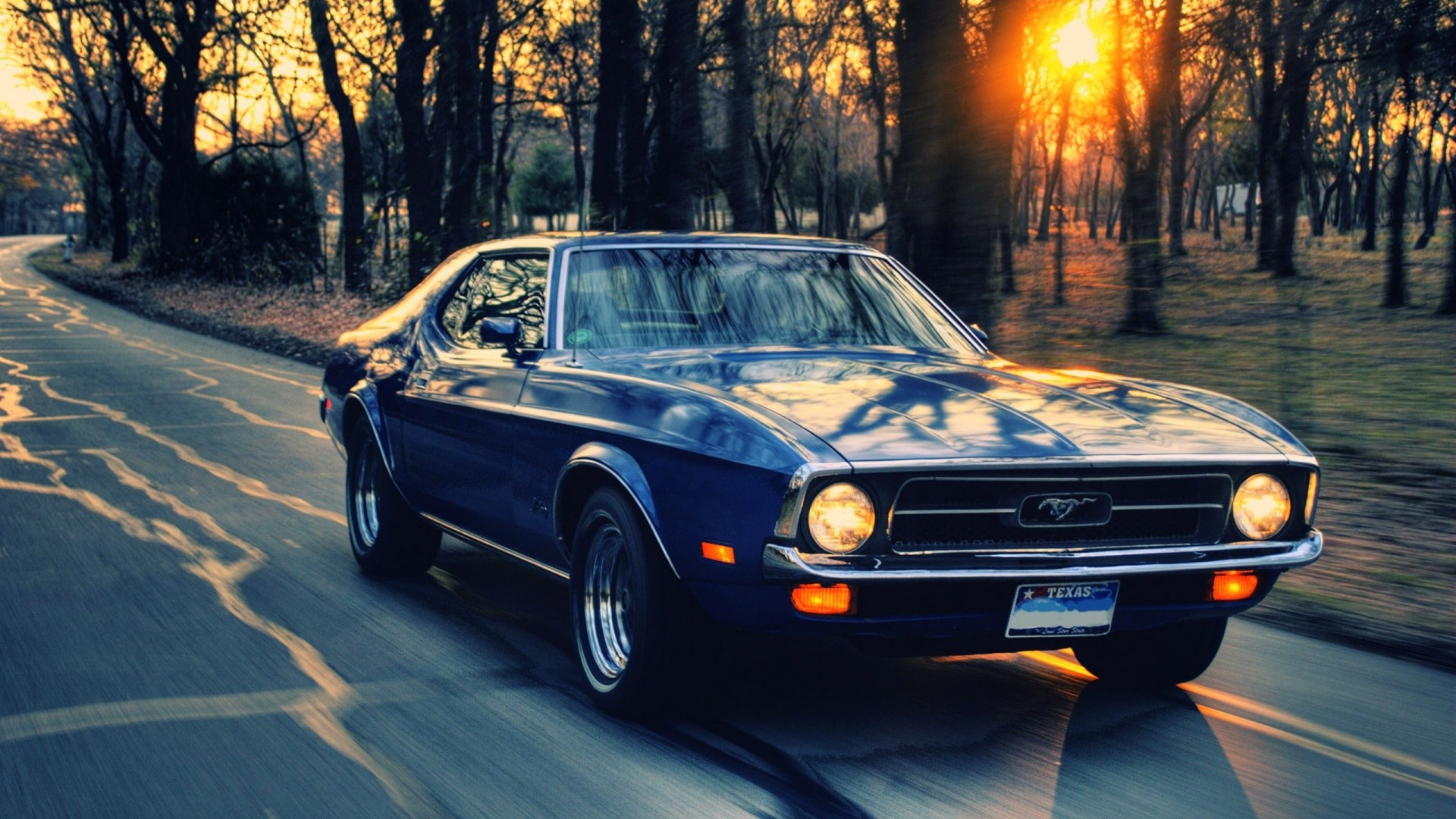 Ford, Car, Sunset, Road, Trees Wallpapers Hd / Desktop - Mustang Cars Wallpaper Hd , HD Wallpaper & Backgrounds