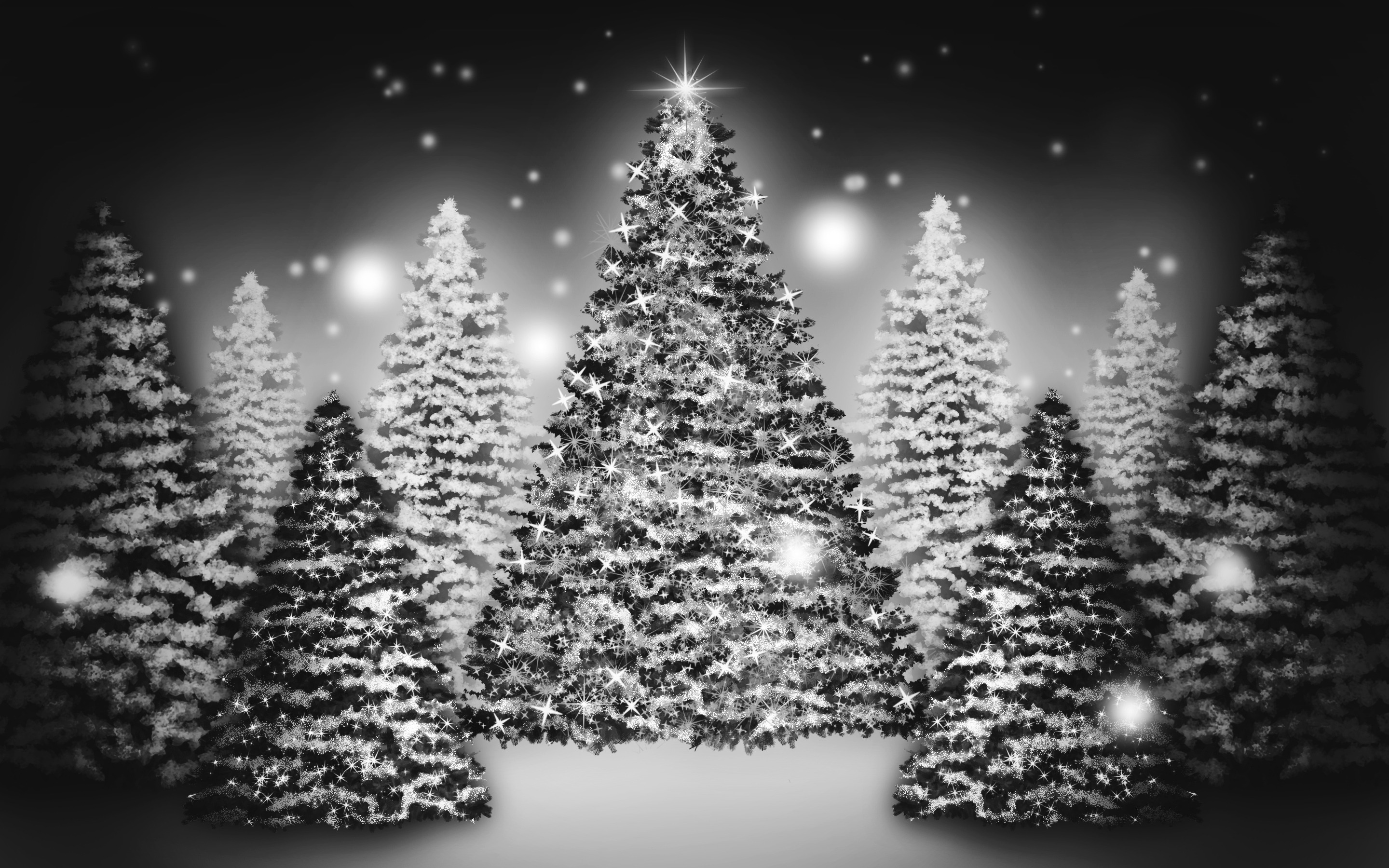 White Christmas Tree Wallpapers - Christmas Day , HD Wallpaper & Backgrounds