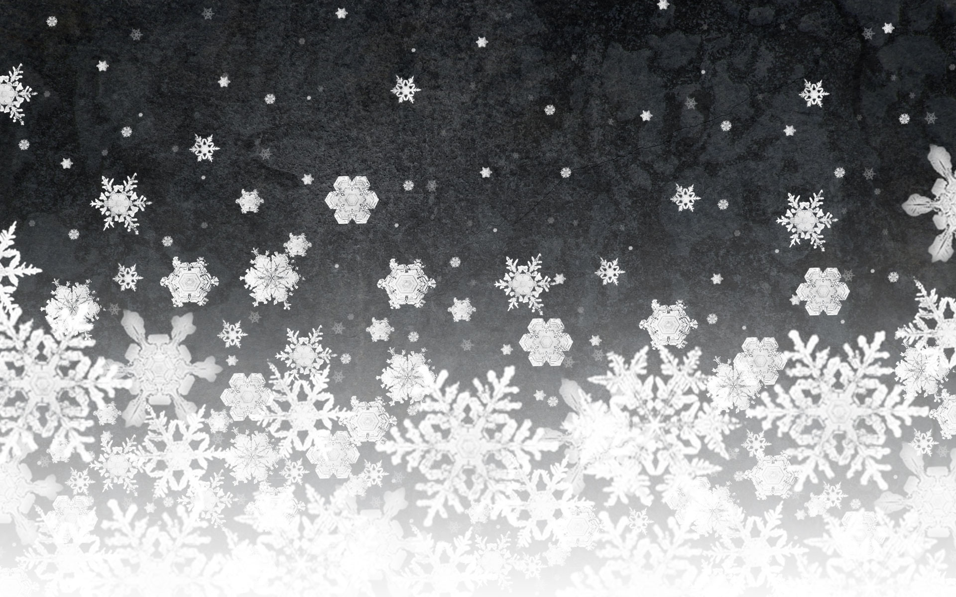 Black And White Snow - Snow Wallpaper Black And White , HD Wallpaper & Backgrounds