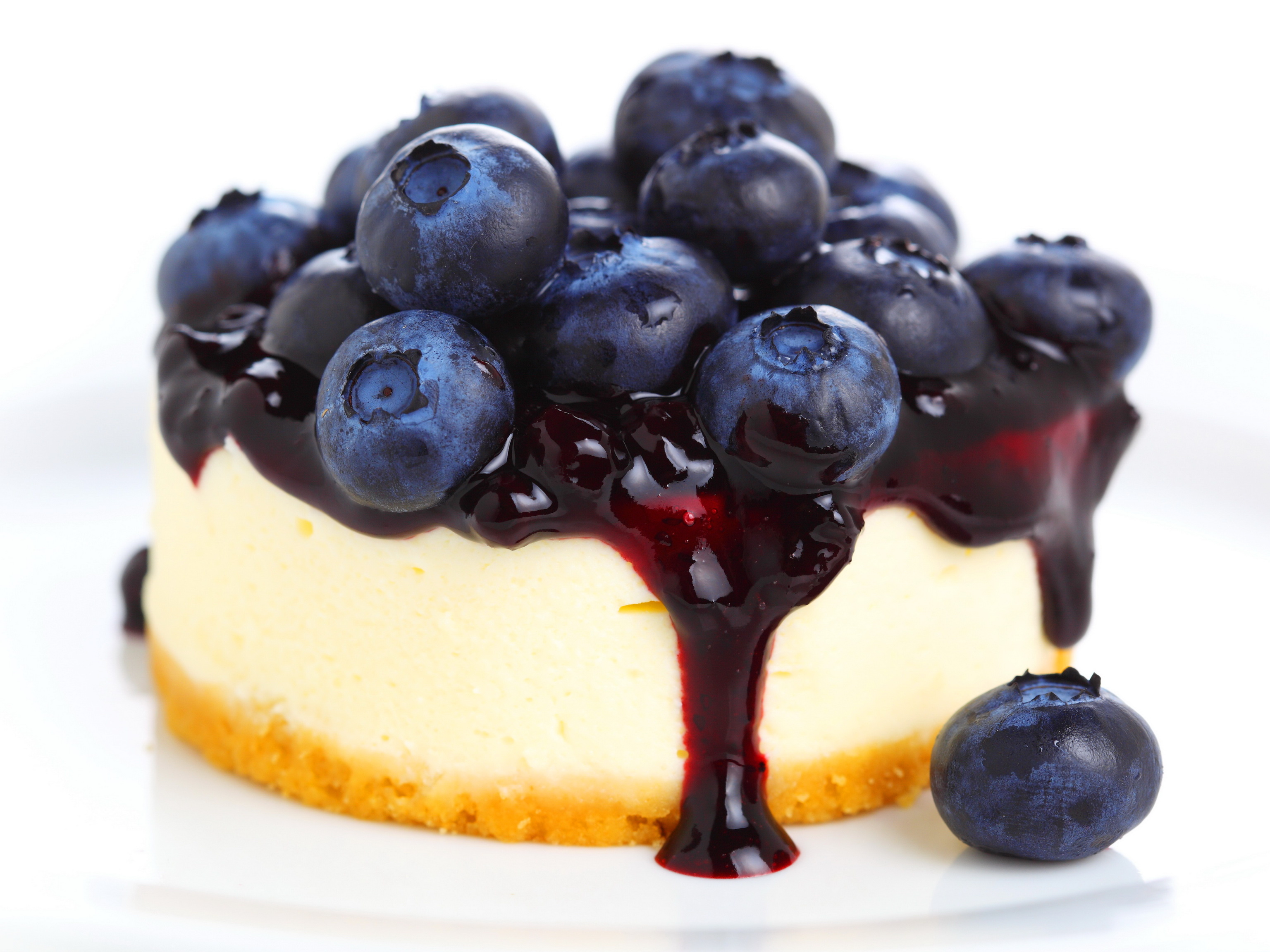 Bookmarked - Anime Blueberry Cheese Cake , HD Wallpaper & Backgrounds