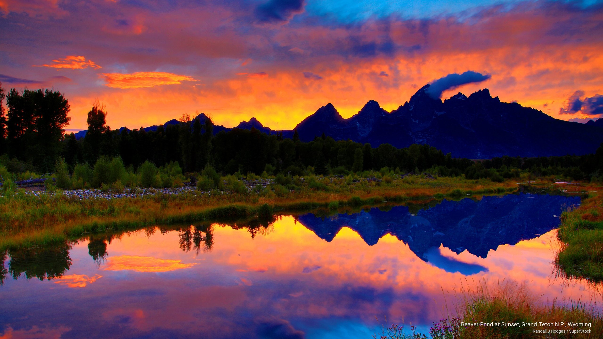 Beaver Pond At Sunset, Grand Teton N - Reflection , HD Wallpaper & Backgrounds