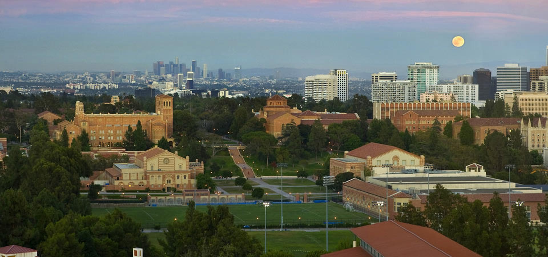 University Of California, Los Angeles Hd Wallpaper - Ucla Downtown Los Angeles , HD Wallpaper & Backgrounds