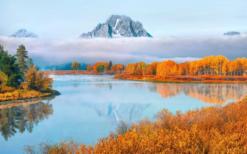 Usa, Wyoming, Grand Teton National Park, Trees, Fog, - Exllent , HD Wallpaper & Backgrounds