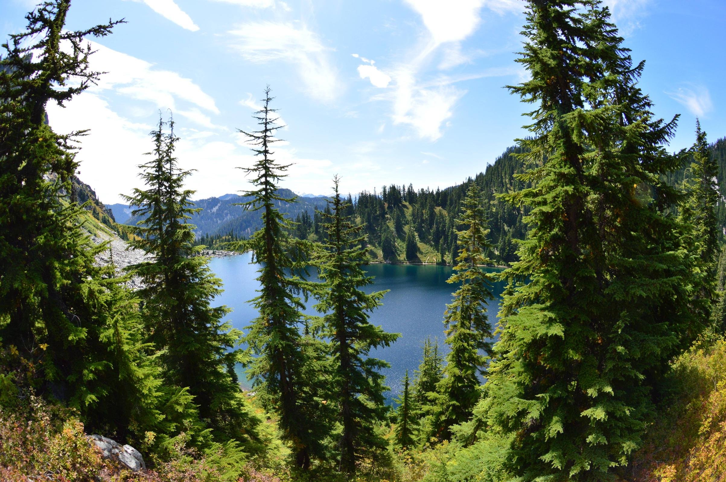 Lake Valhalla Washington Wallpaper - Spruce-fir Forest , HD Wallpaper & Backgrounds