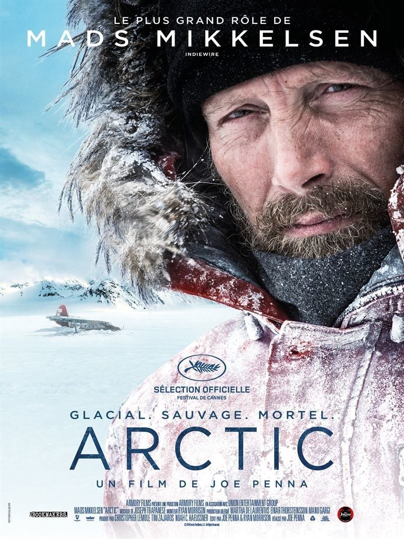 Teaser Trailer - Arctic 2018 Movie Poster , HD Wallpaper & Backgrounds