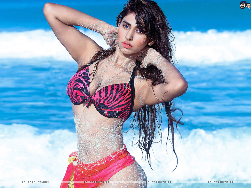 Heena Harwani - Heena Harwani Bikini , HD Wallpaper & Backgrounds