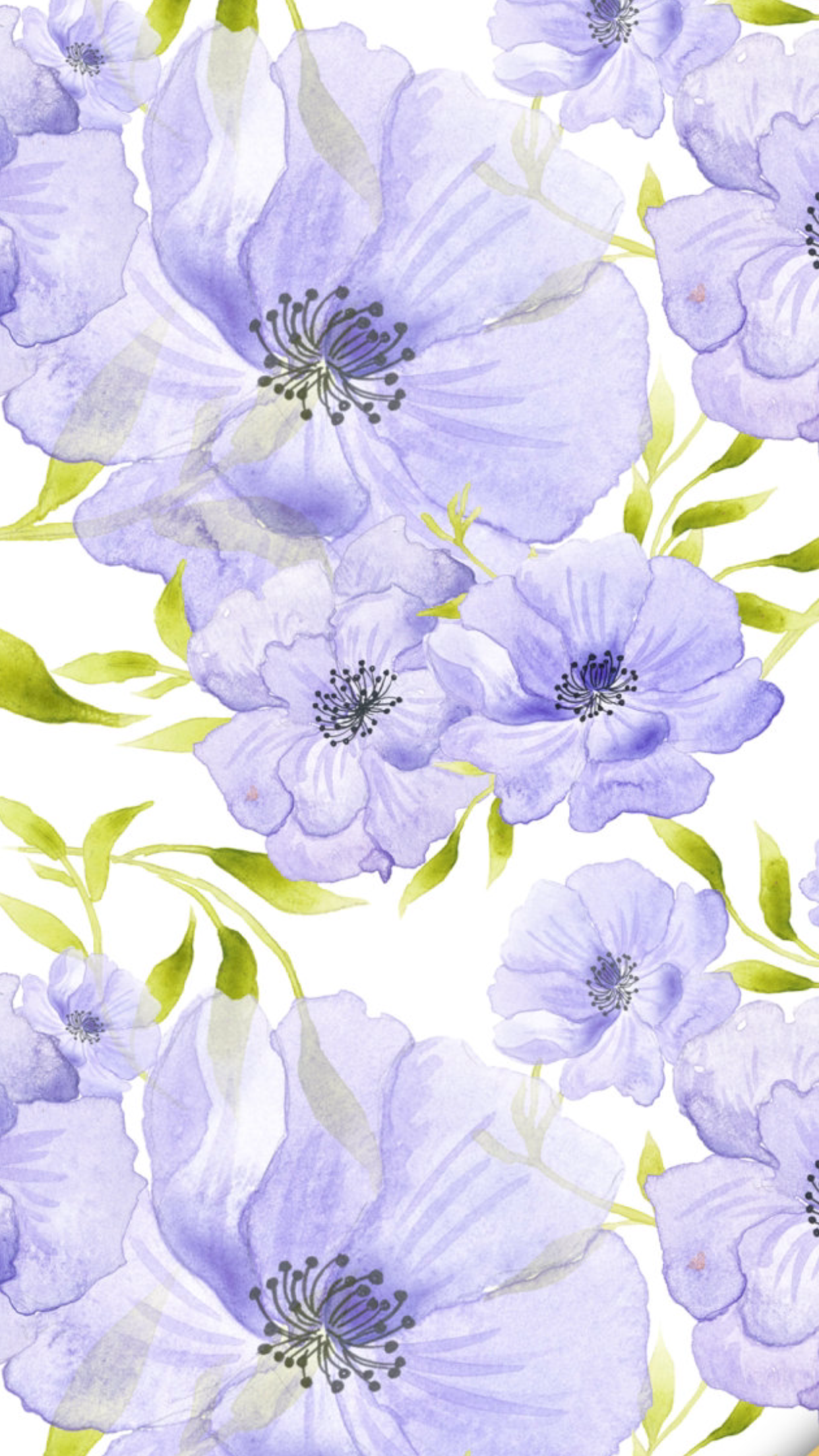 Flores Lilas Flowery Wallpaper, Summer Wallpaper, Wallpaper - Fondo De Flores Lilas , HD Wallpaper & Backgrounds