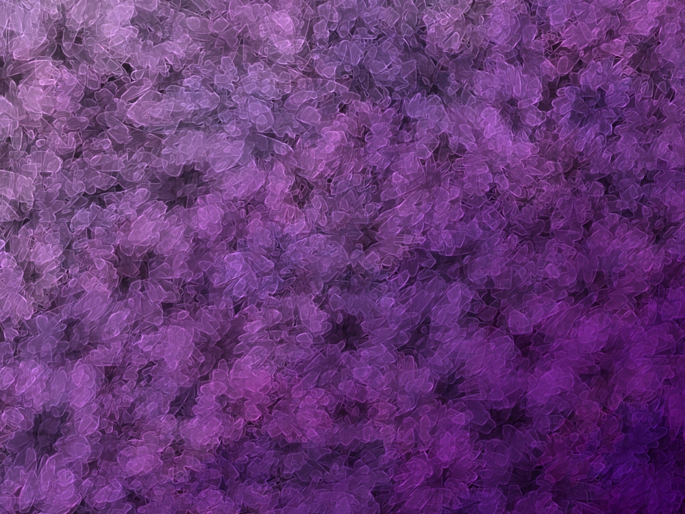 Lilac, By Misty Eiler, Px , HD Wallpaper & Backgrounds