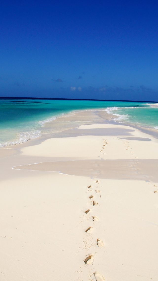 Cayo De Agua, Los Roques National Park, Venezuela, - Fondos De Pantalla Iphone Hd Venezuela , HD Wallpaper & Backgrounds