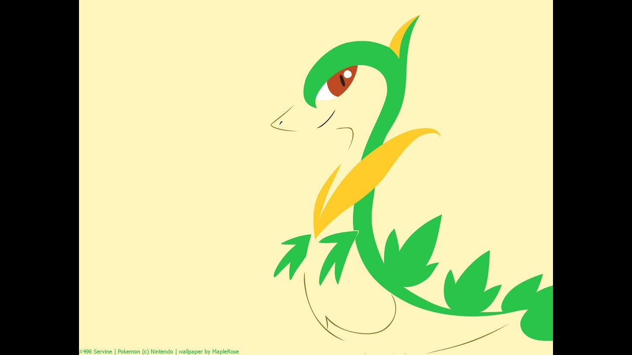 Evolucionando A Snivy - Pokemon Servine , HD Wallpaper & Backgrounds