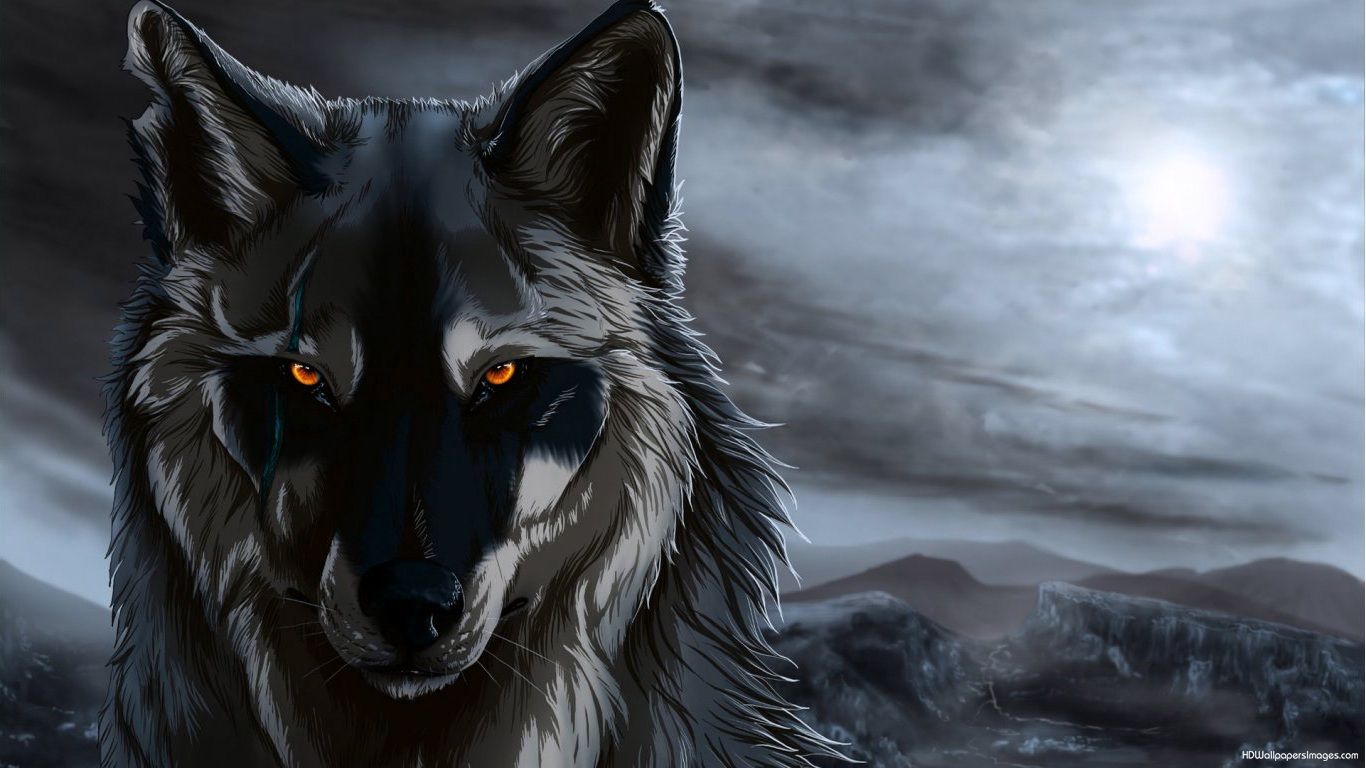 Wolf Anime Wallpaper Hd , HD Wallpaper & Backgrounds