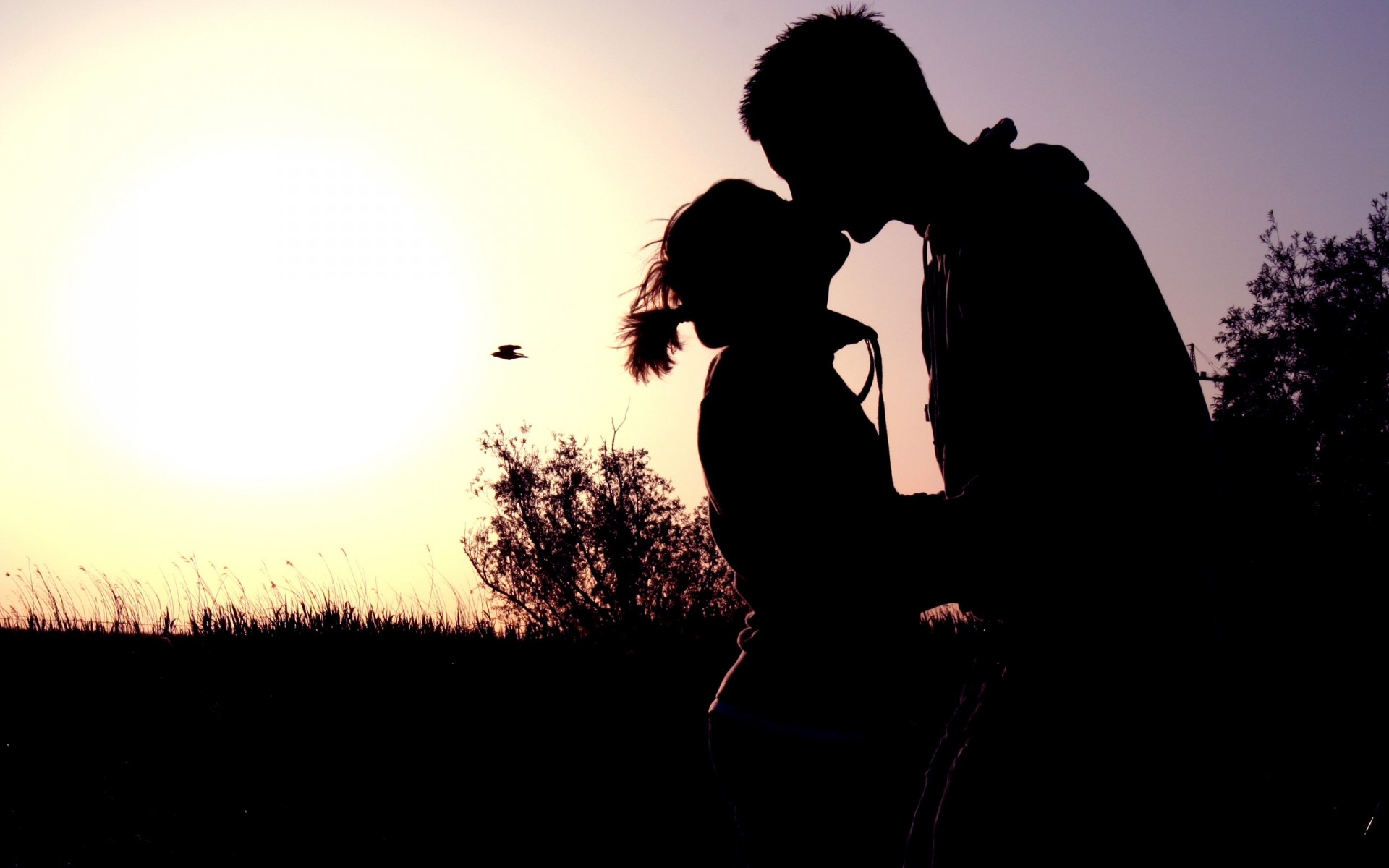 Couple Shadow Sunset Kissing Hugging Romance - Kissing Backgrounds , HD Wallpaper & Backgrounds
