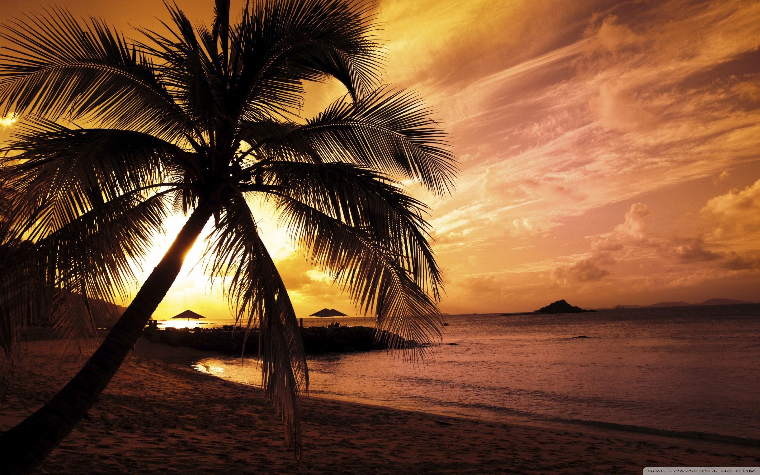 Beach Sunset Hd , HD Wallpaper & Backgrounds