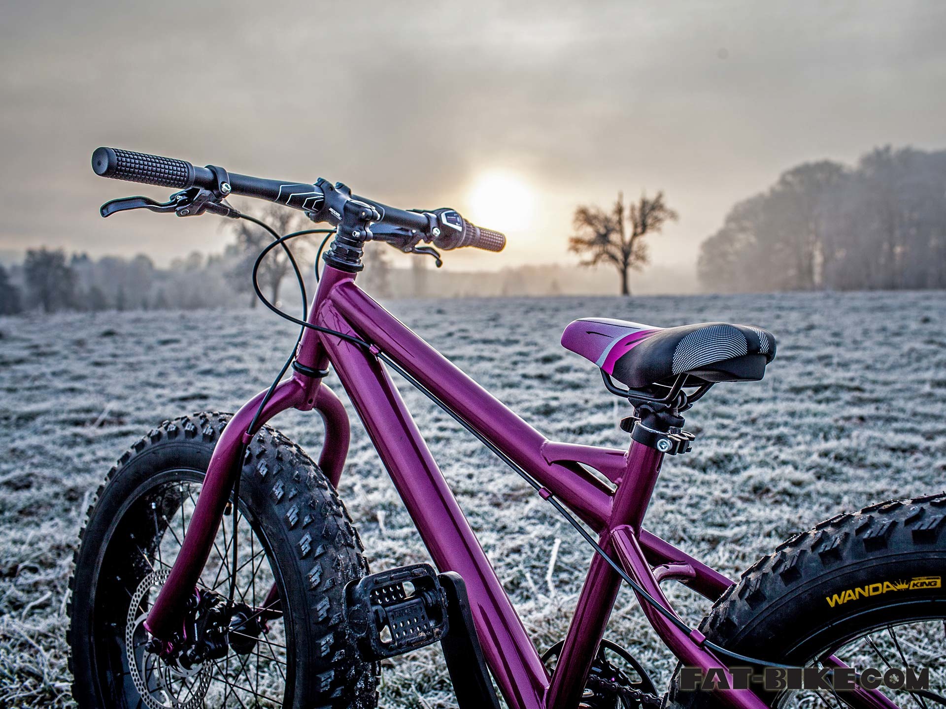 1365394 Desktop Cycling Hd Wallpapers - Purple Fat Bike , HD Wallpaper & Backgrounds