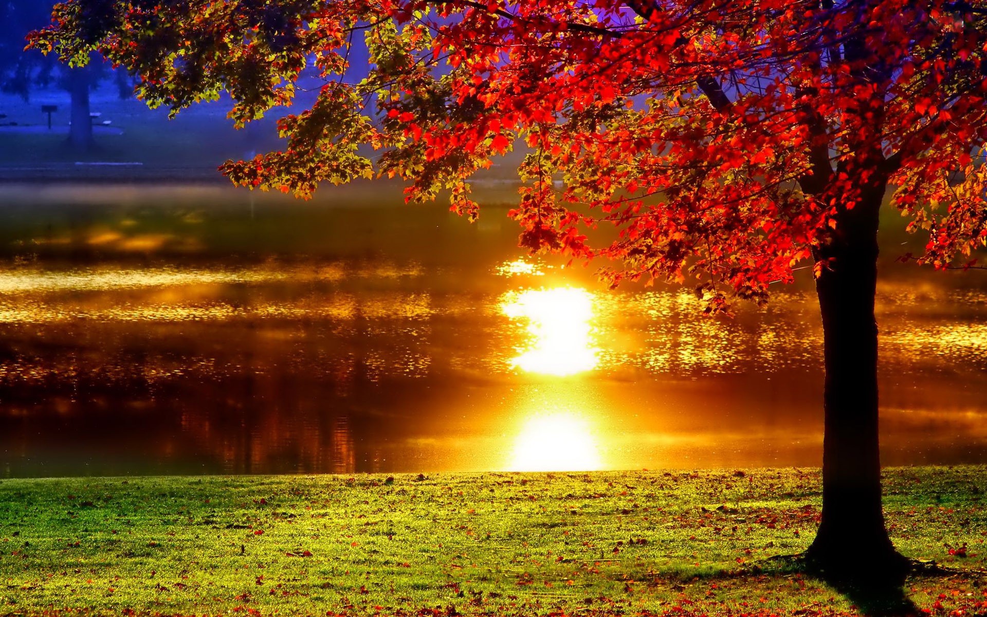 Fall Sunset Backgrounds , HD Wallpaper & Backgrounds