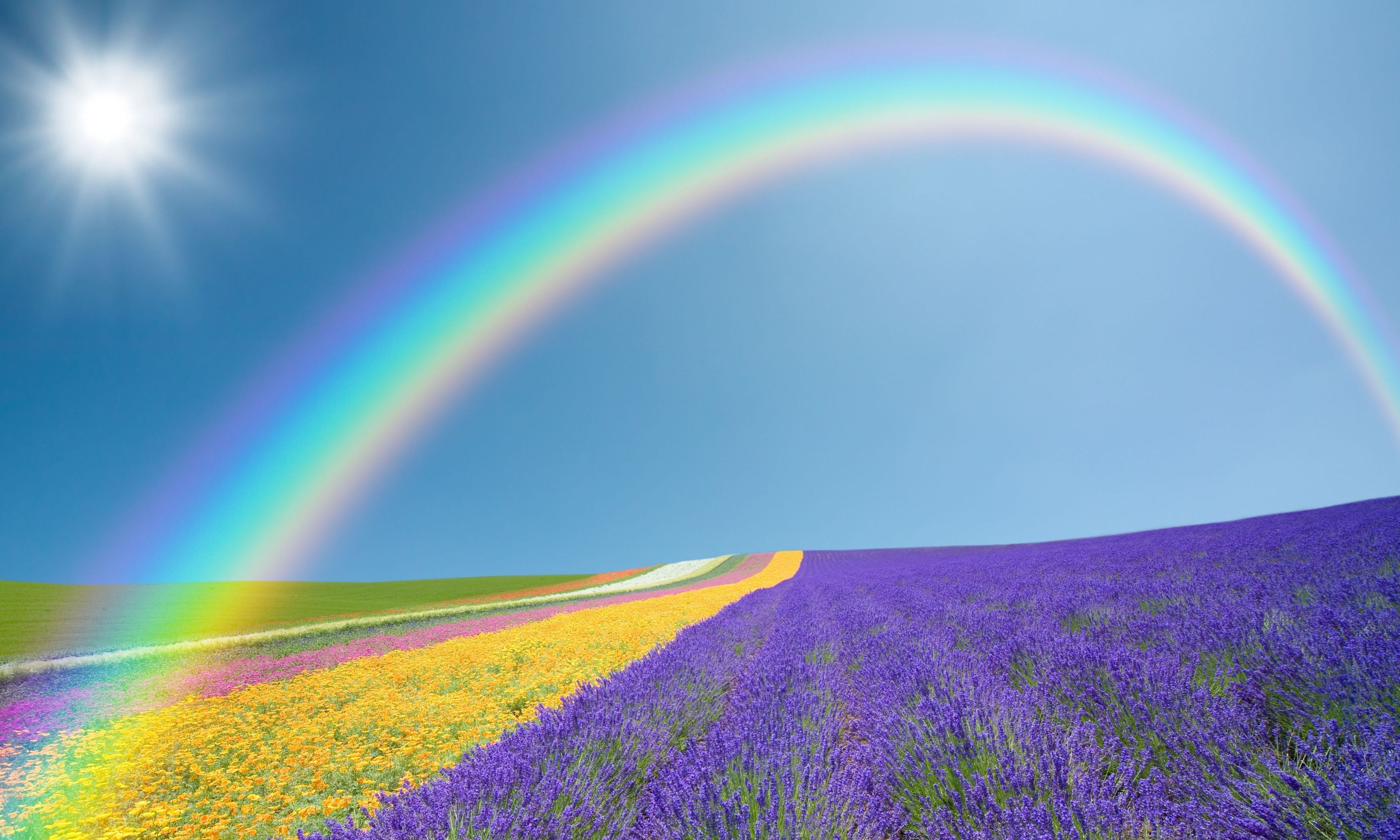 Rainbow Wallpaper Rainbow Wallpaper Rainbow Wallpaper - Rainbow Dispersion Of Light , HD Wallpaper & Backgrounds