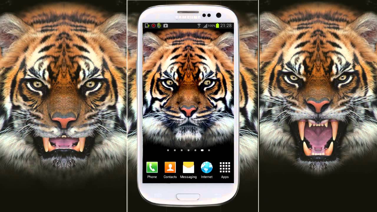 Tiger Live Wallpaper - Live Wallpapers Of Tigers , HD Wallpaper & Backgrounds