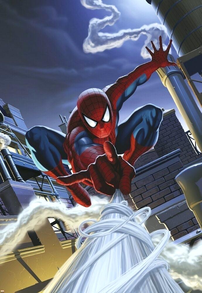 Spiderman Wallpaper For Bedroom Details About Bedroom - Rooftop Marvel Comic , HD Wallpaper & Backgrounds