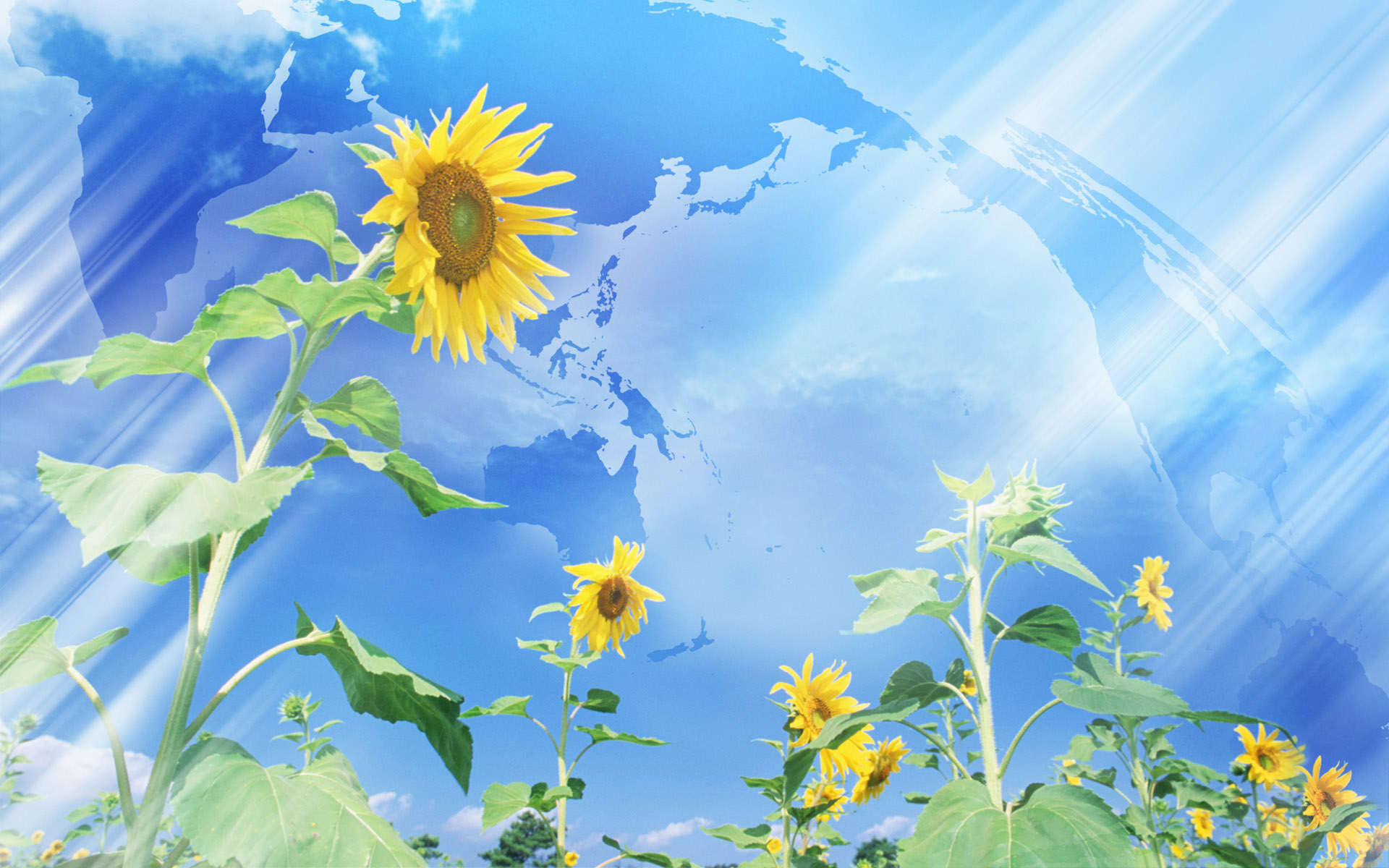 Nature Art Wallpaper - Sunflower Wallpaper Anime , HD Wallpaper & Backgrounds