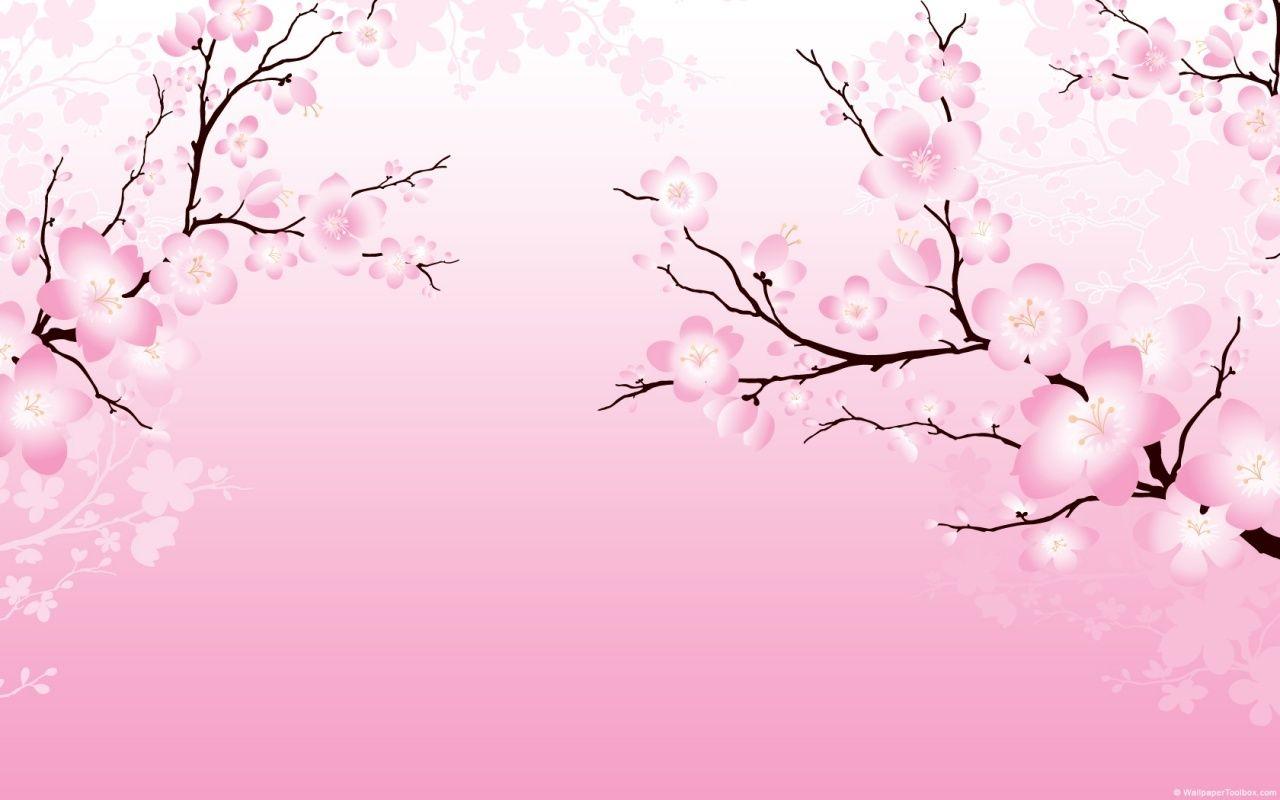 Cherry Blossom Sakura Background , HD Wallpaper & Backgrounds