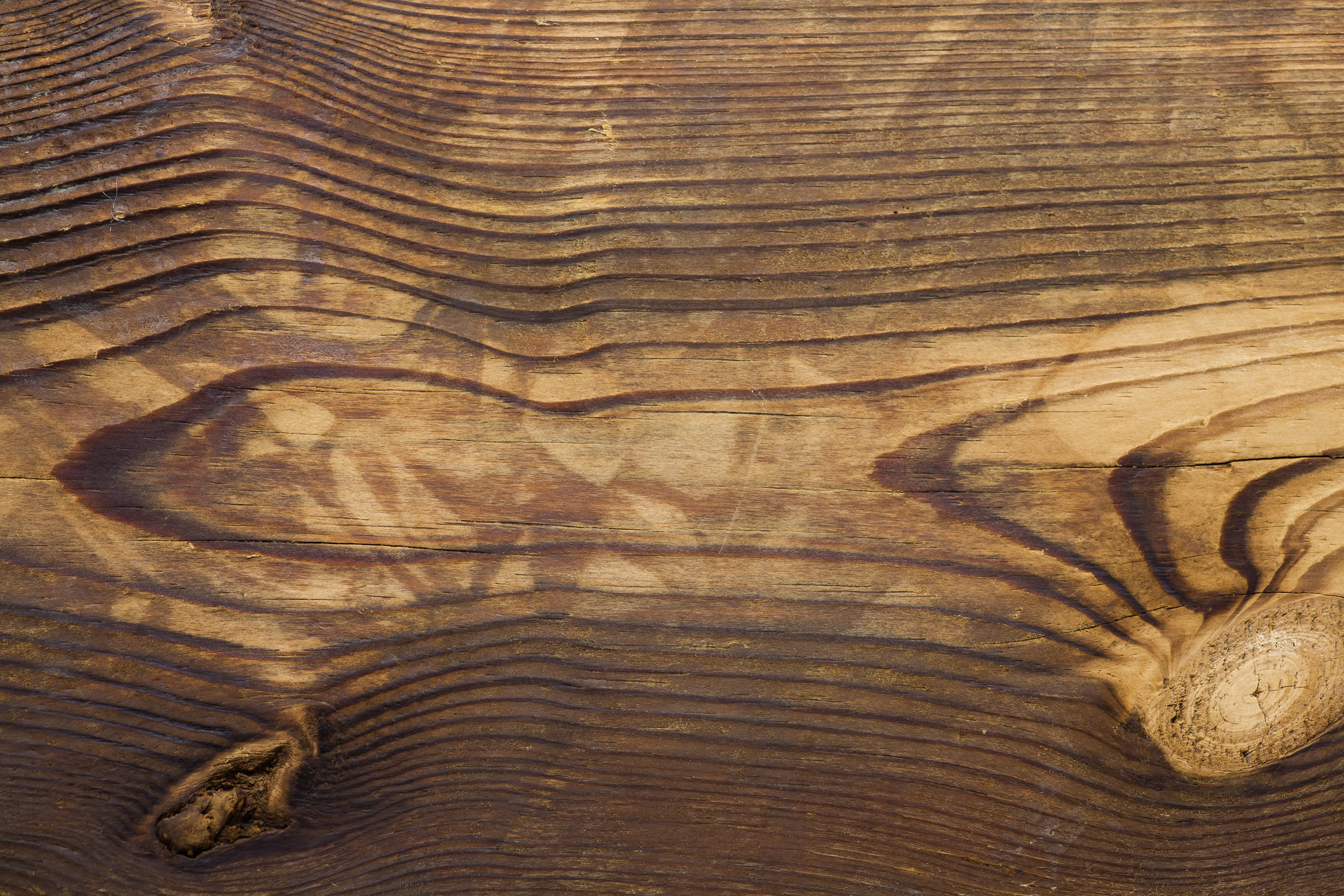 Wood Wallpaper - Wild Wood Texture , HD Wallpaper & Backgrounds