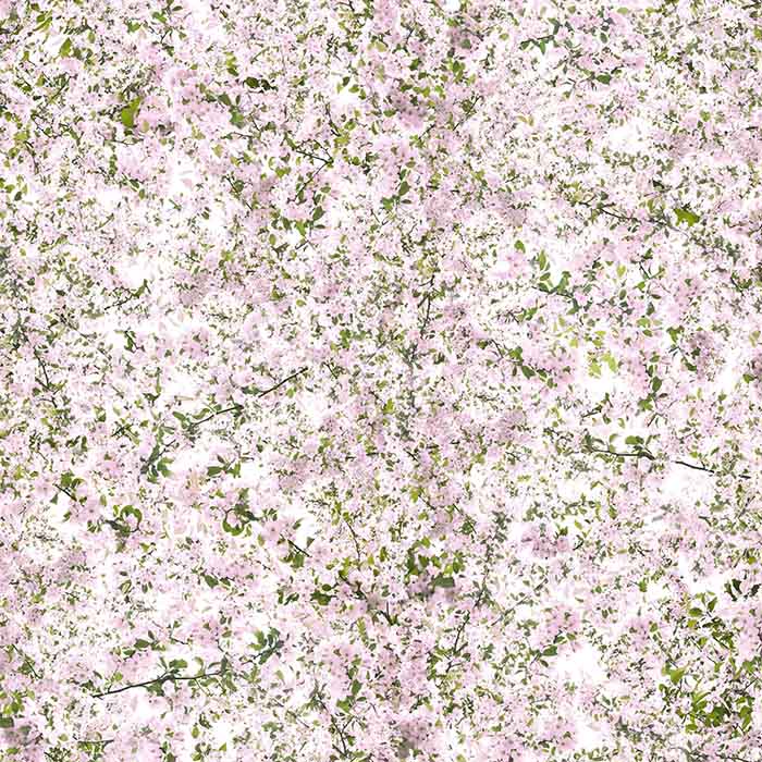 Metallic Cherry Blossom - Artificial Flower , HD Wallpaper & Backgrounds