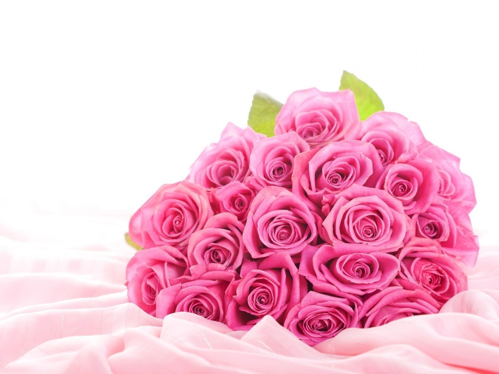 Desktop Of Pink Roses Hd Flower Wallpaper Cool Rose - Beautiful Pink Rose Flower , HD Wallpaper & Backgrounds