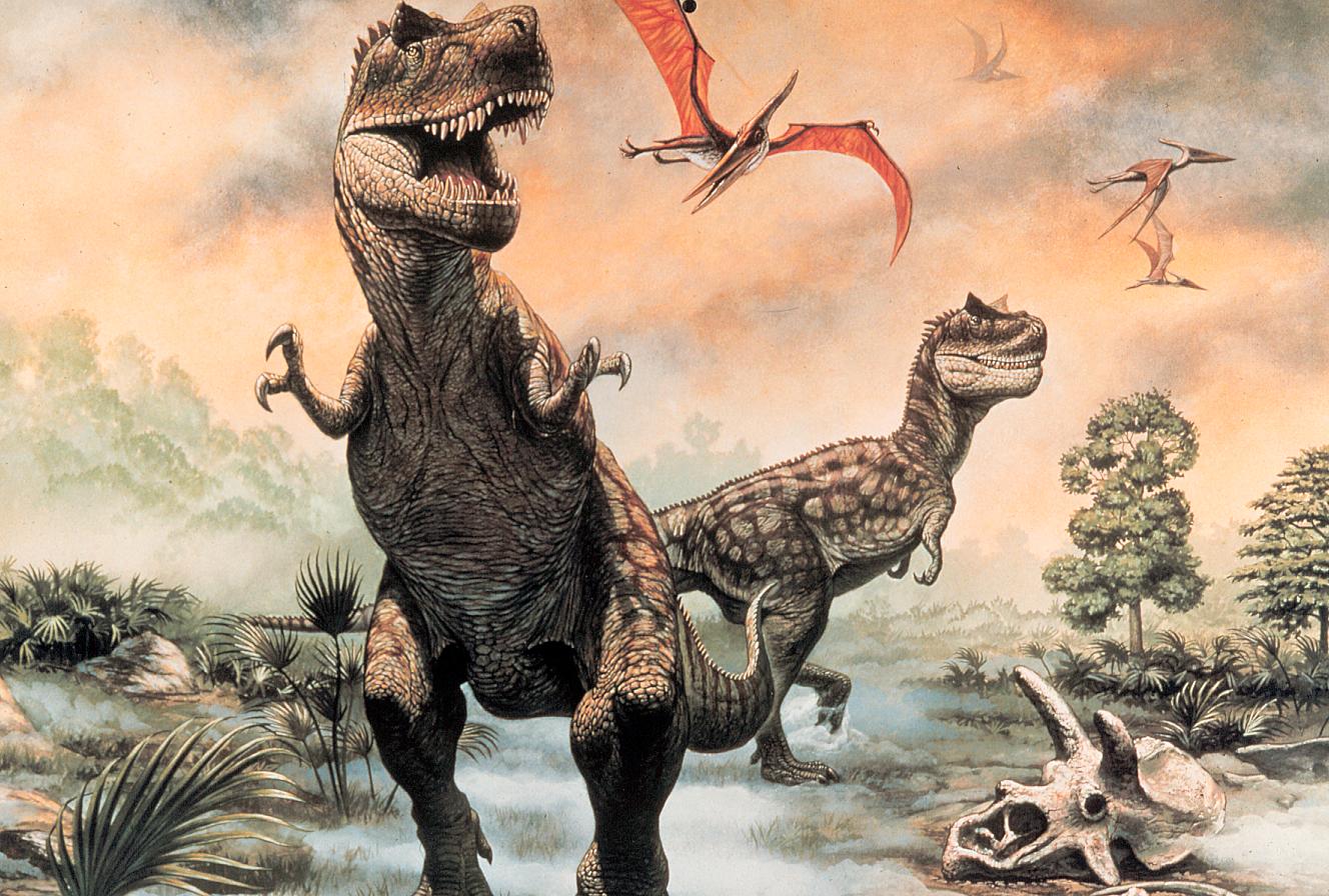 Dinosaur - Old As Dinosaurs Meme , HD Wallpaper & Backgrounds