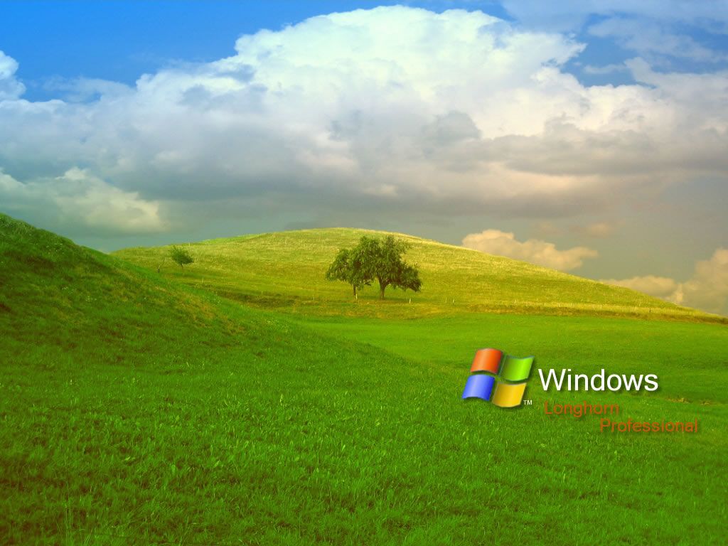 Windows Xp Wallpaper Memes , HD Wallpaper & Backgrounds