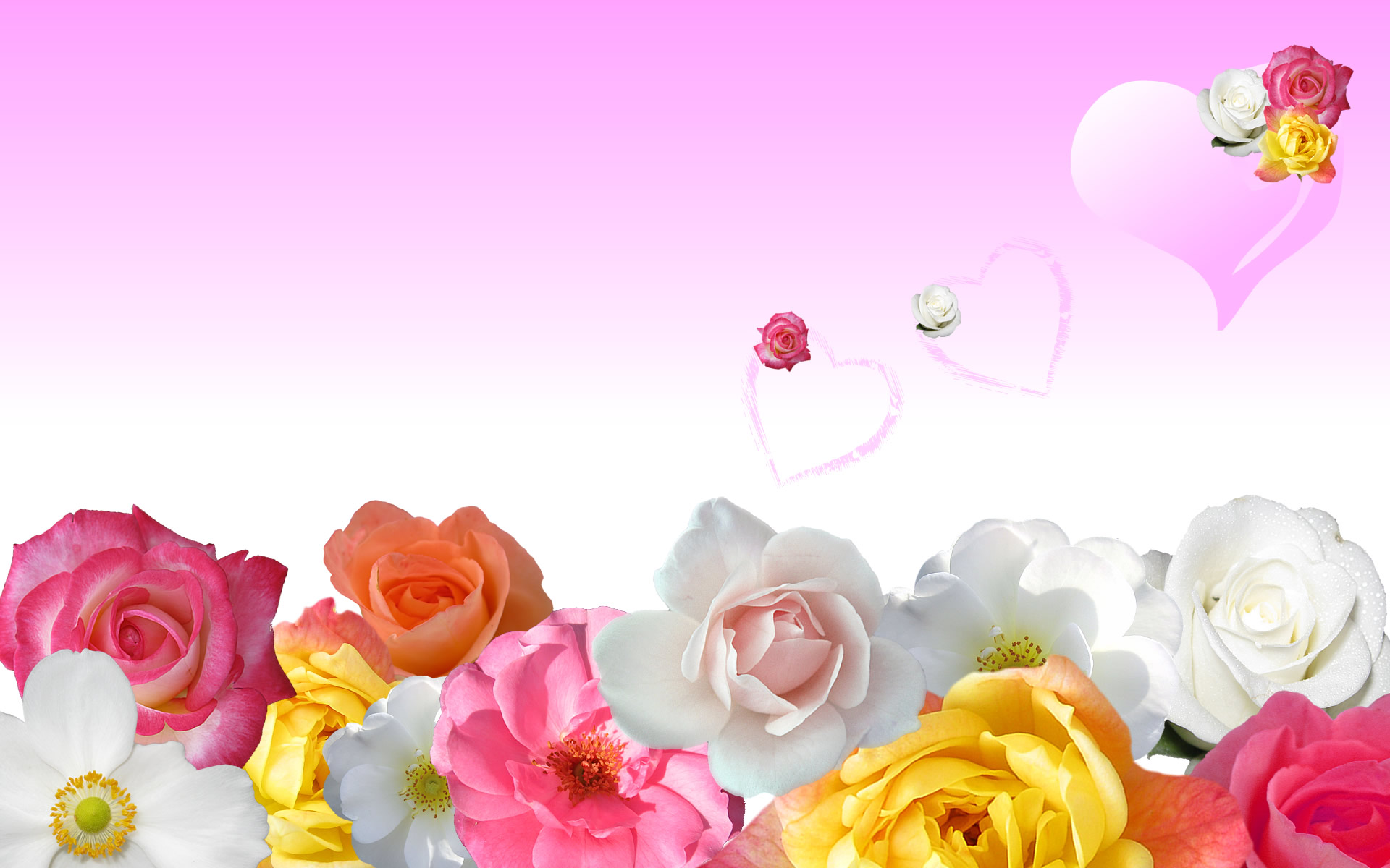 Rose Love Flowers Wallpaper - Background Wallpaper Flowers Rose , HD Wallpaper & Backgrounds