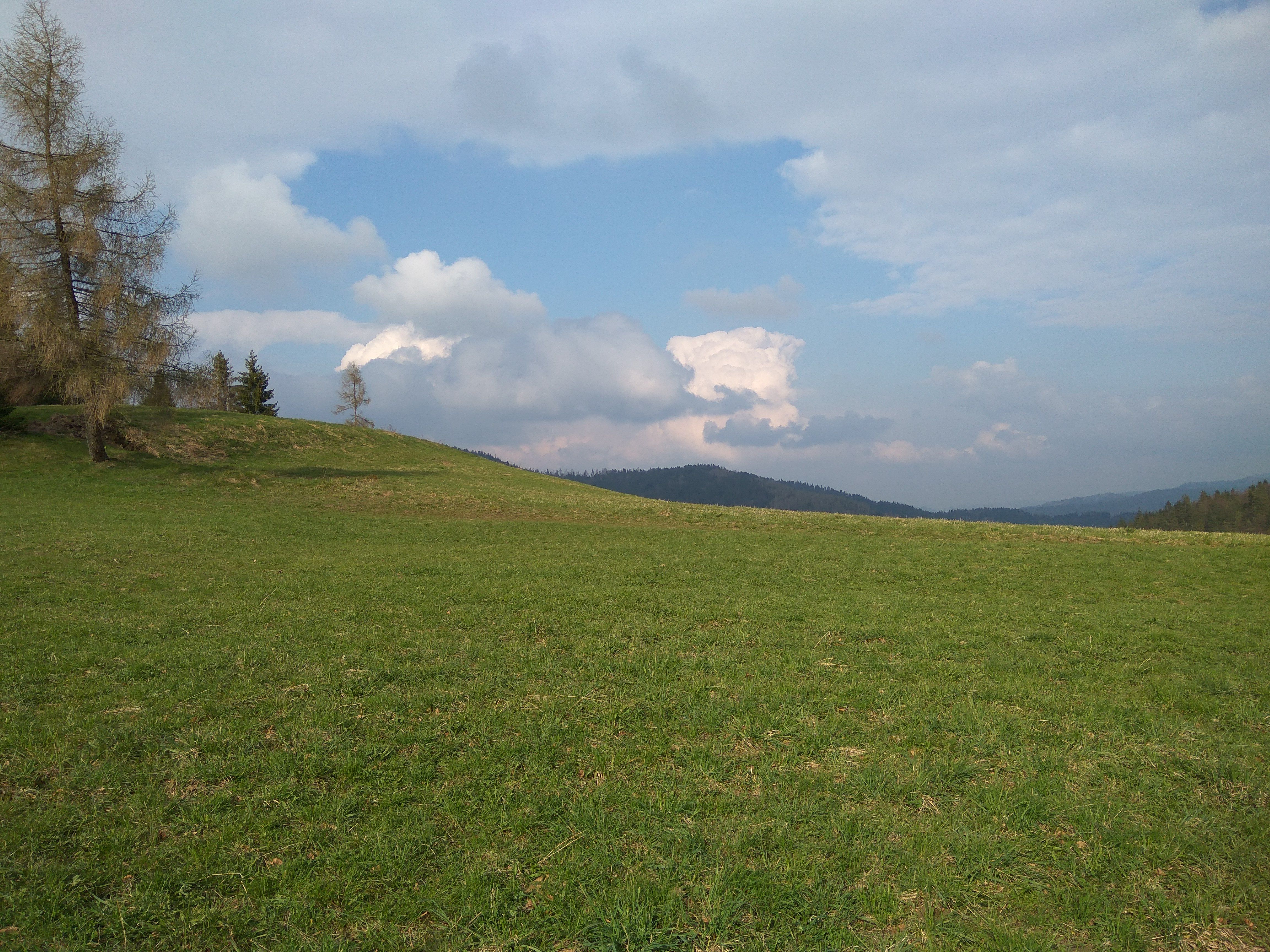 I Found A Windows Xp Wallpaper In Real Life - Grass , HD Wallpaper & Backgrounds