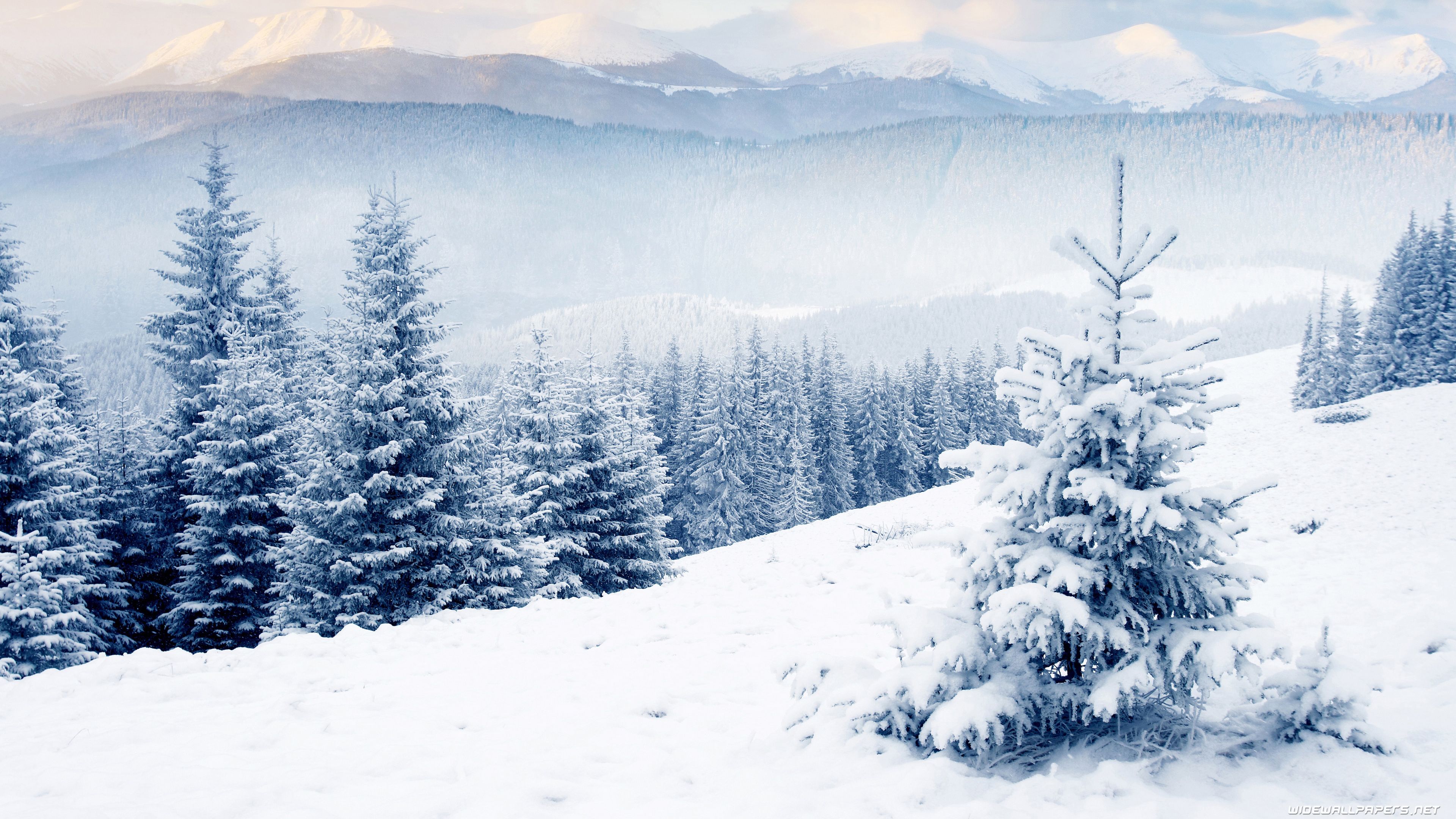 Free Winter Wallpapers Hd - Winter Desktop Wallpaper 4k , HD Wallpaper & Backgrounds