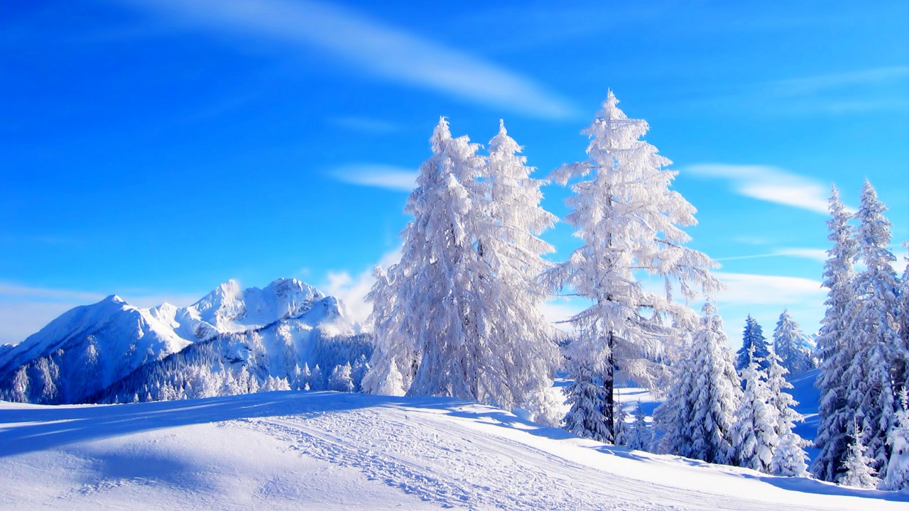 Nature / Winter Wallpaper - High Resolution Winter Backgrounds , HD Wallpaper & Backgrounds