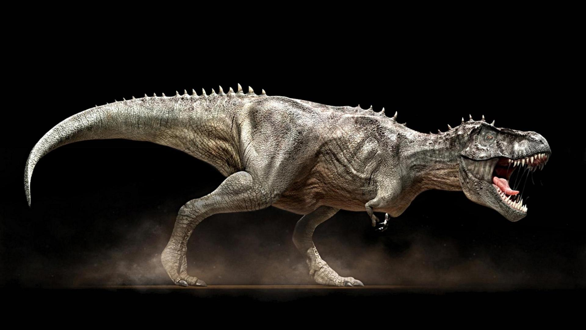 Angry Rex Wallpaper - Real Dinosaurs T Rex , HD Wallpaper & Backgrounds