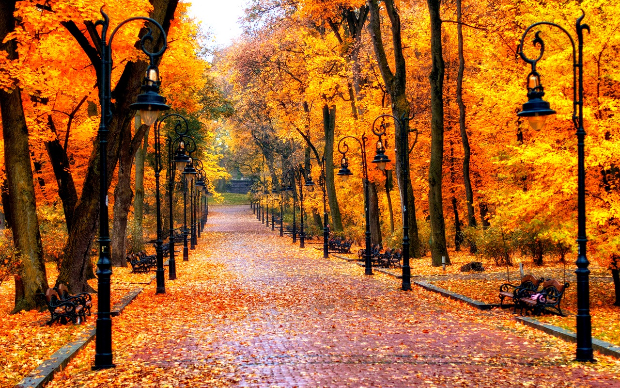 Autumn Wallpaper - Cool Pictures Of Autumn , HD Wallpaper & Backgrounds
