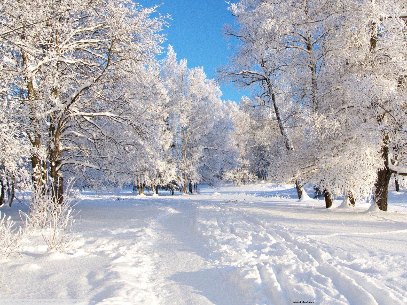 Free High Definition Winter Backgrounds Hd Wallpapers - High Resolution Winter Background , HD Wallpaper & Backgrounds