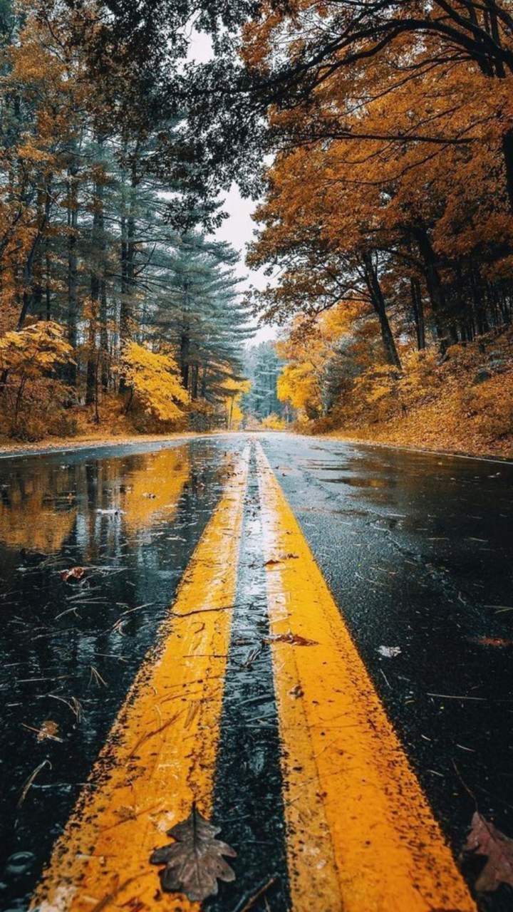 Rain Autumn , HD Wallpaper & Backgrounds