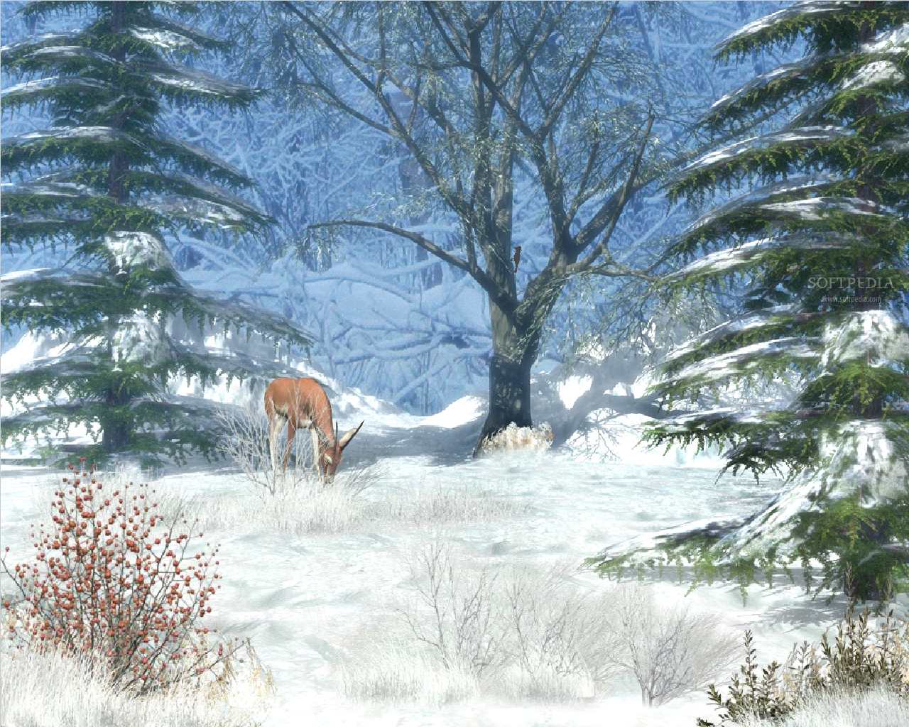 Winter Wallpaper And Screensavers 29 June, - Animated Winter Screensavers Free , HD Wallpaper & Backgrounds