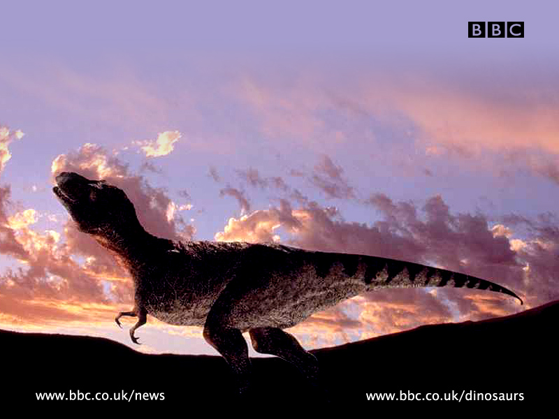 Dinosaur Wallpaper Uk - Walking With Dinosaurs Bbc , HD Wallpaper & Backgrounds