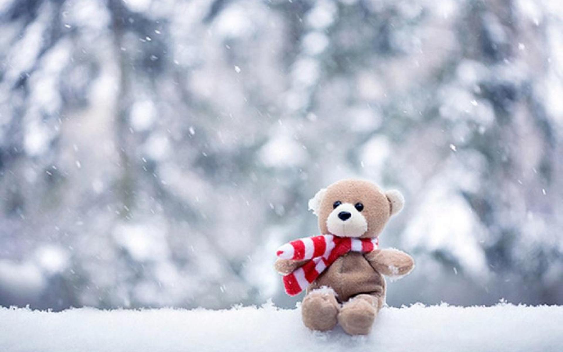 Cute Winter Wallpaper Winter Pic - Cute Wallpaper Teddy Bear , HD Wallpaper & Backgrounds