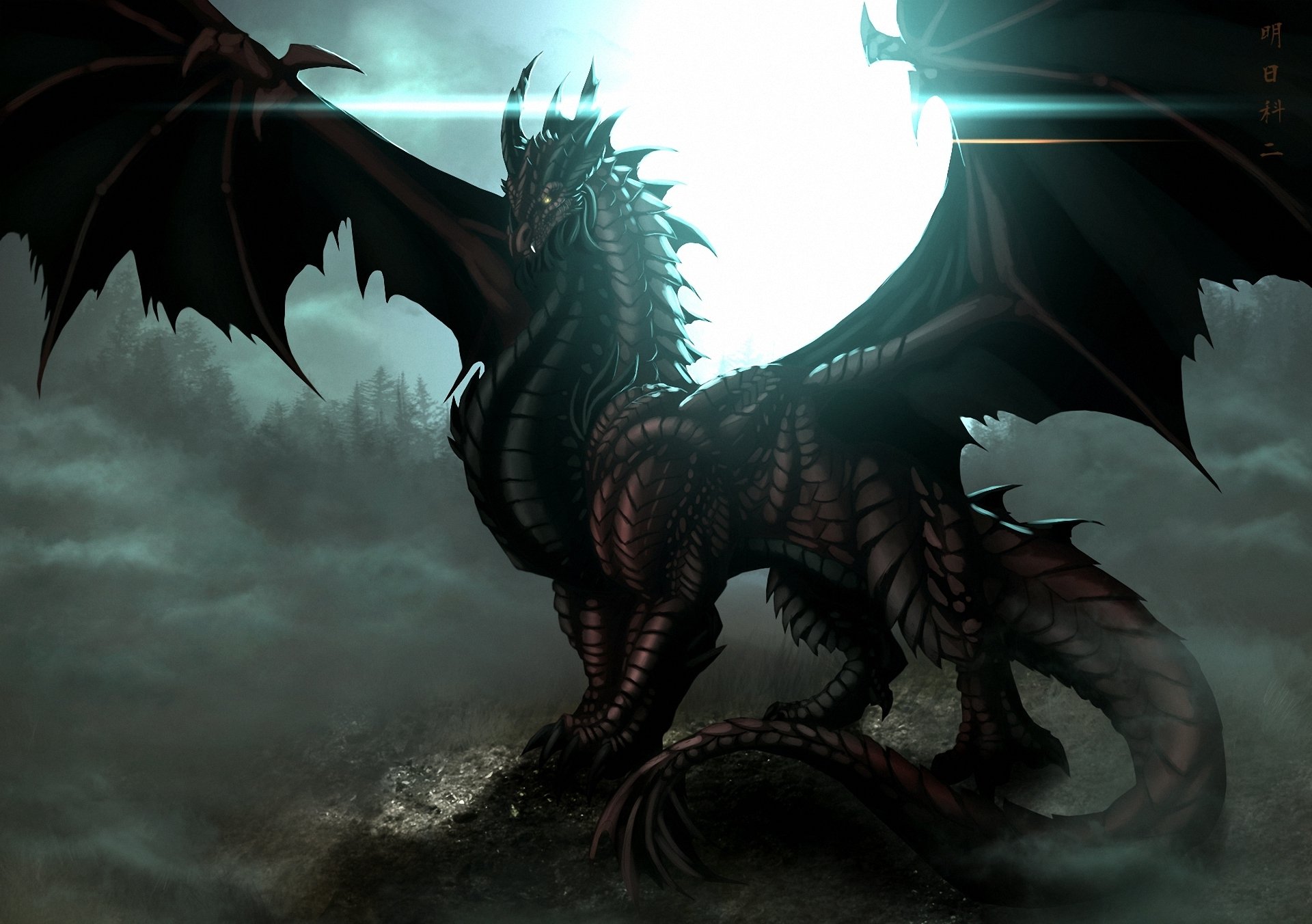 Water Dragon Wallpaper - Dark Dragon , HD Wallpaper & Backgrounds