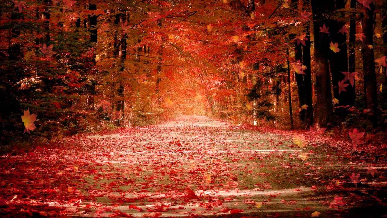 Autumn Dream Animated Wallpaper - Red Fall Leaves Background , HD Wallpaper & Backgrounds