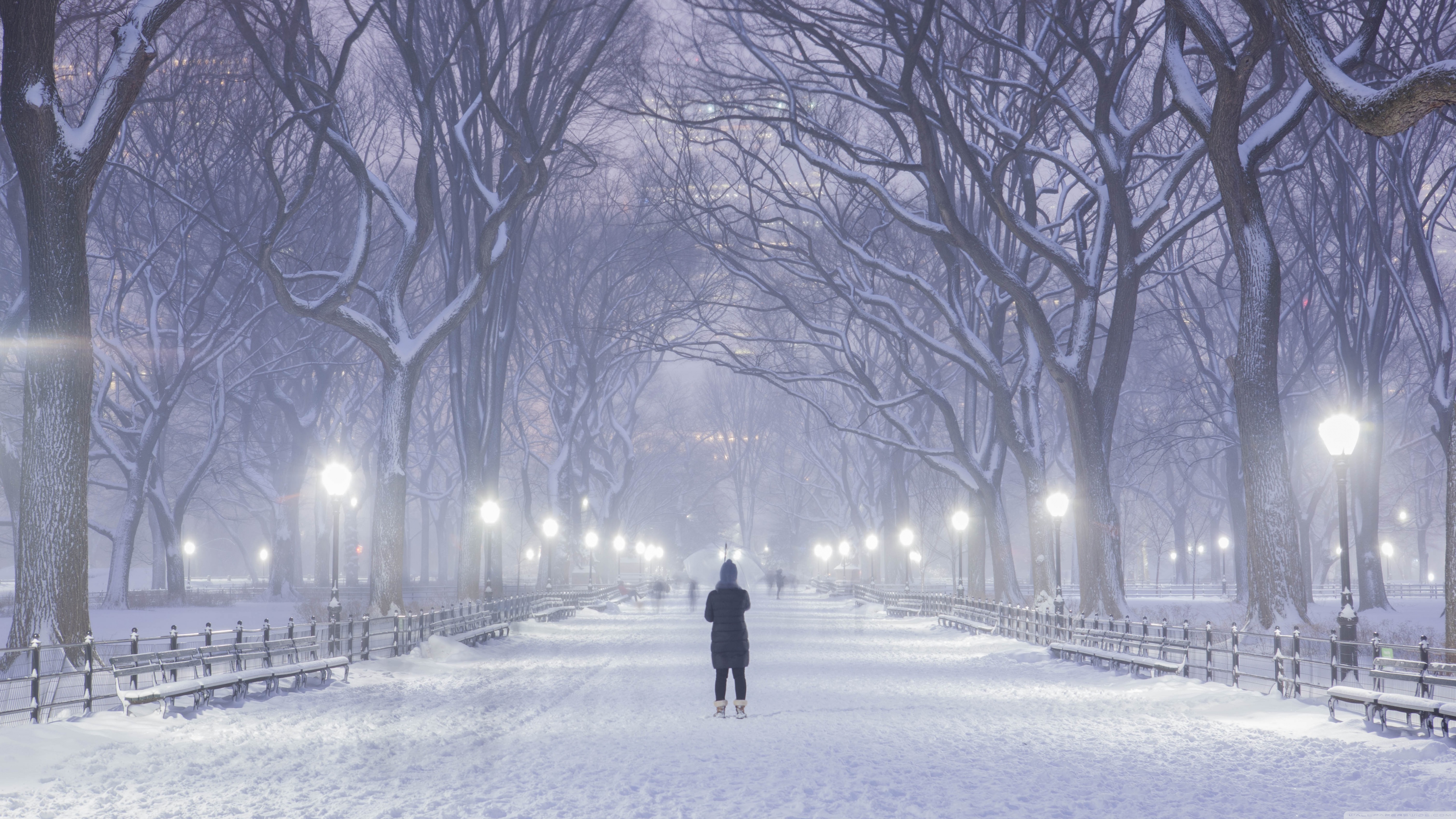 Standard - New York Winter 4k , HD Wallpaper & Backgrounds